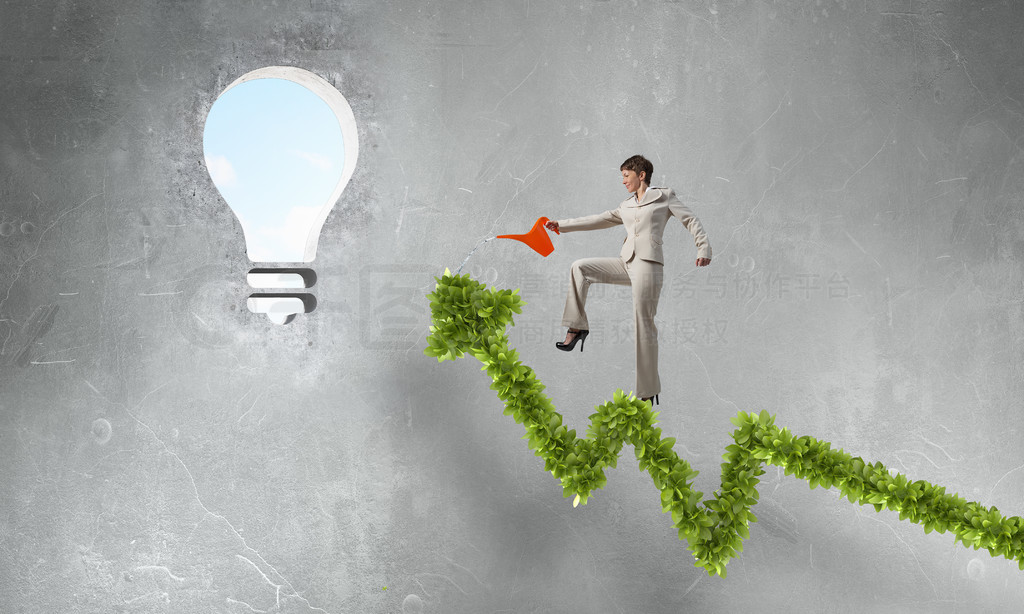 綠色增長圖 女實業家通過資產管理實現收入增長的策略